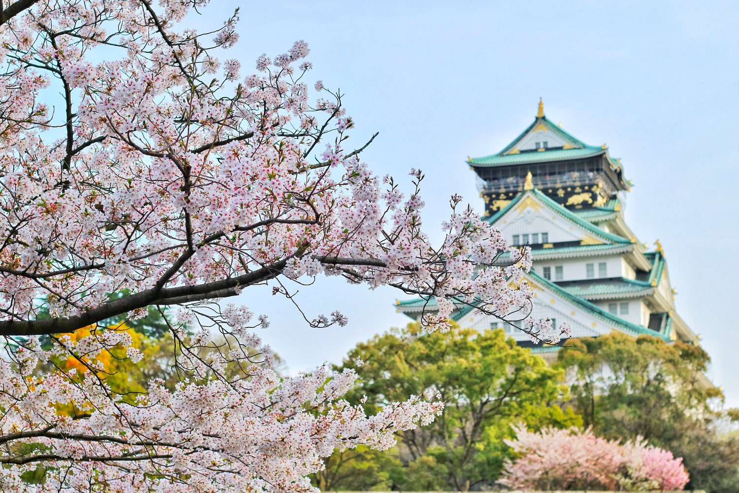 osaka-japan.jpg